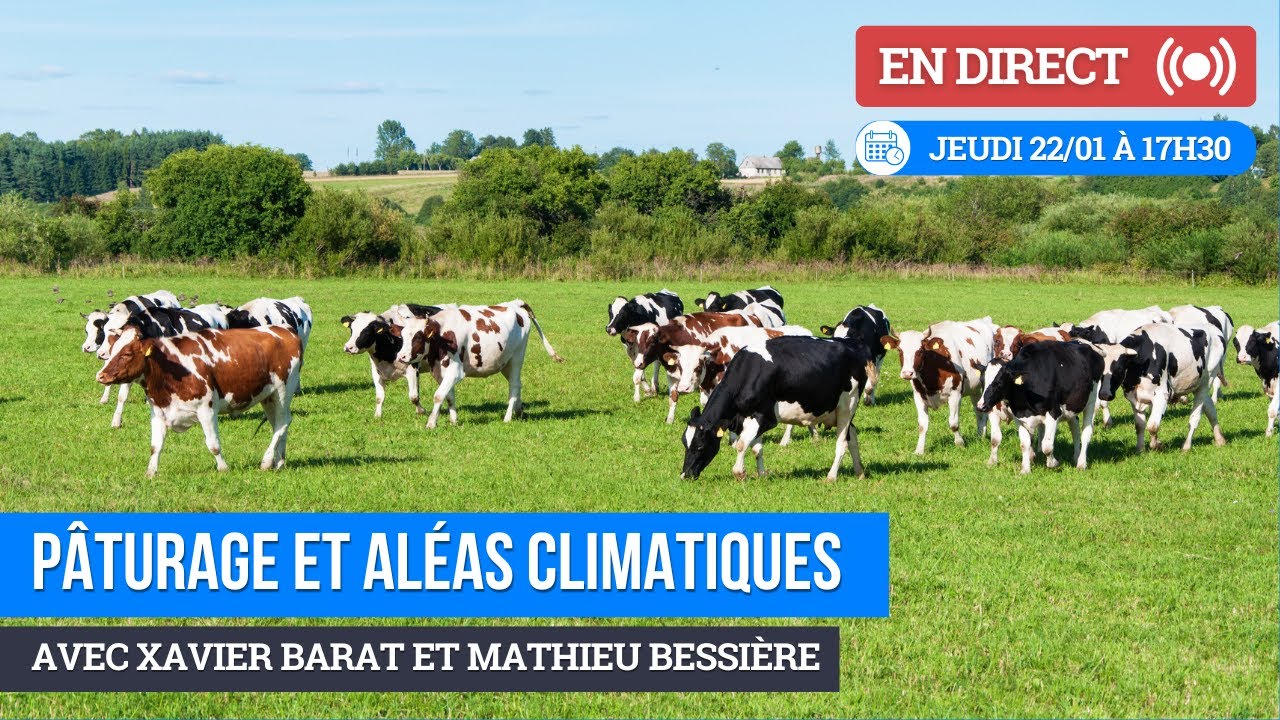 WEBINAIRE : Optimiser son pâturage pour faire face aux aléas climatiques