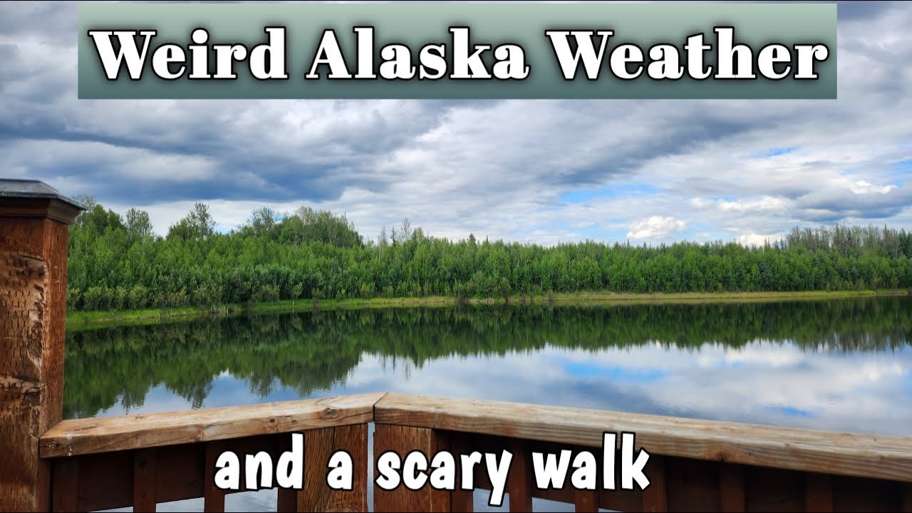 Weird Weather and a Scary Walk | Fairbanks, Alaska | Alaskan Bears Vlogs