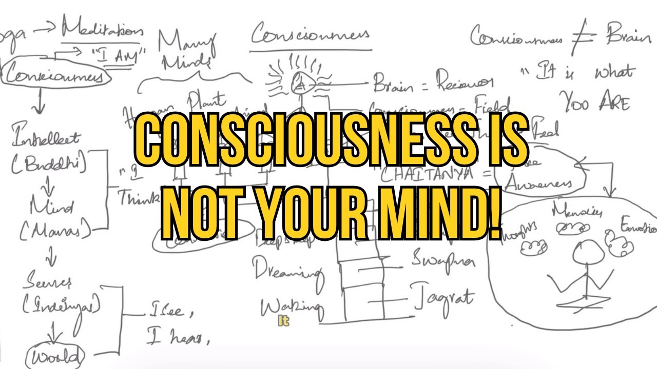 Consciousness Explained in Simple Words | Clear Explanation! #sprirituality
