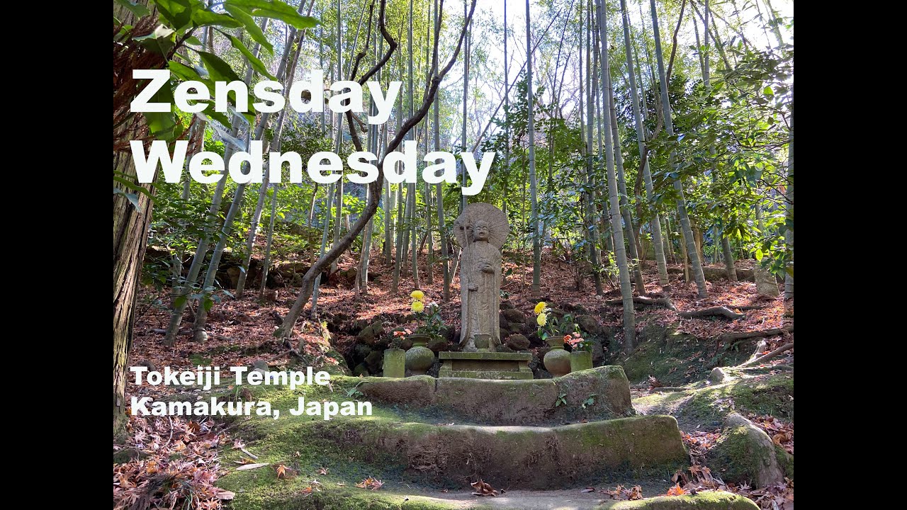 Zensday Wednesday - Tokeiji Temple and Grounds Kamakura, Japan