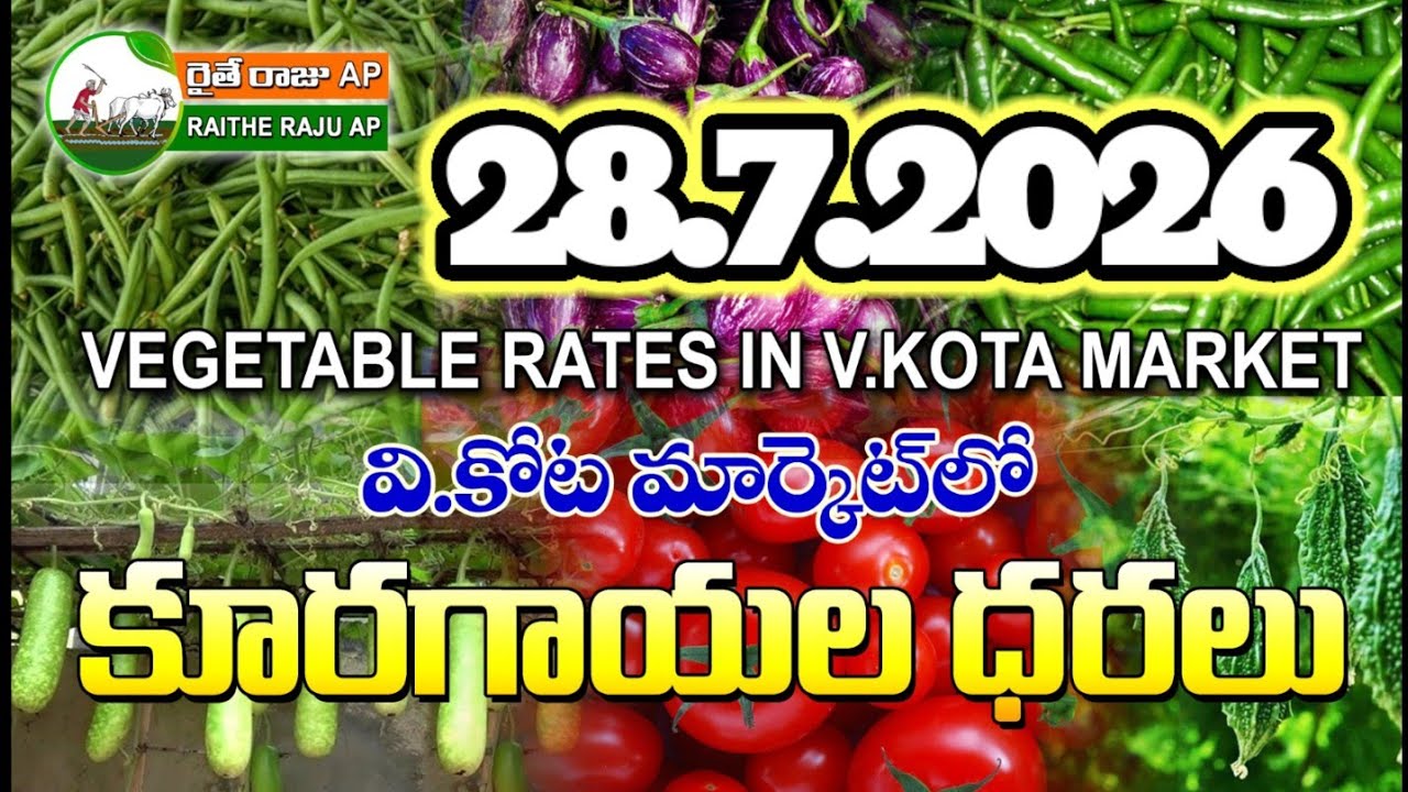 #AMC V.KOTA TODAY BEANS PRICE IN MARKET #ALL VEGETABLE PRICES #marigold 