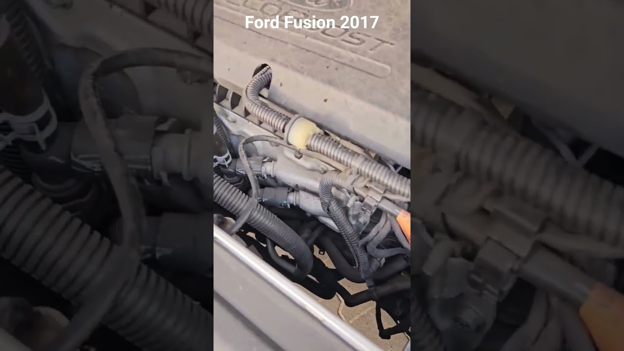 Fusion 2017