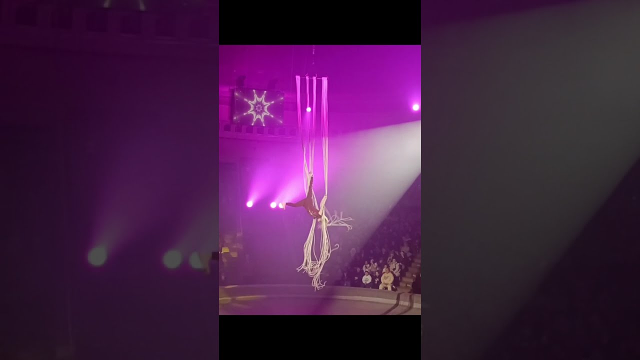 Incredible Aerial Gymnastics in the Circus | Gravity-Defying Performance#circus#gymnast #viralvideo 