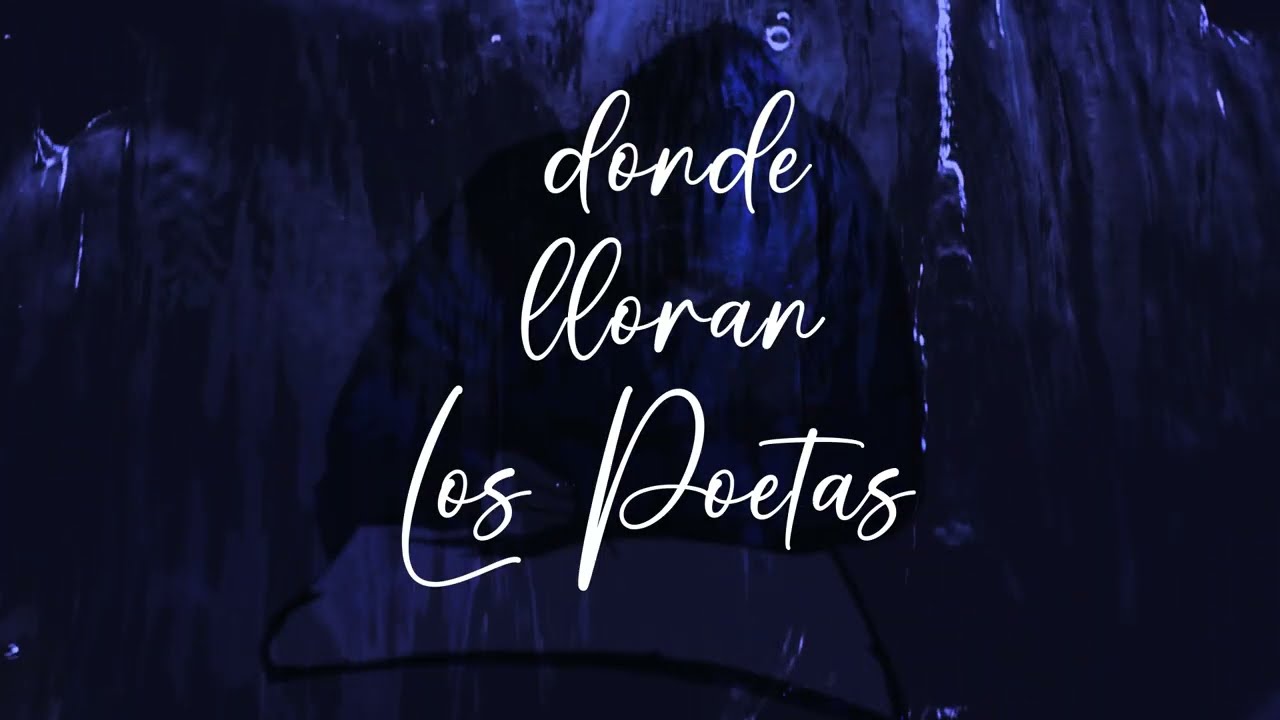 LA SOMBRA DEL GRAJO - GRITANDO EN SILENCIO - DONDE LLORAN LOS POETAS (VIDEOCLIP OFICIAL)