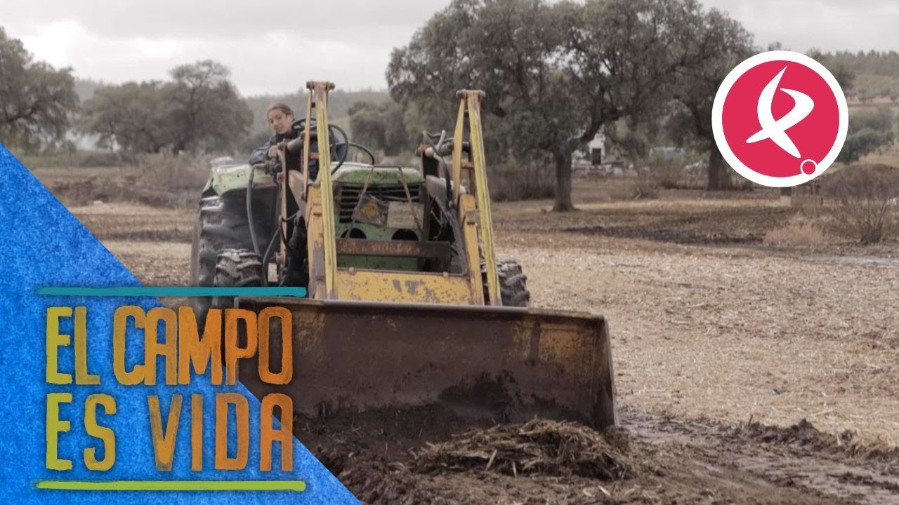 Chabeli raspa el terreno para quitar barro y oxigenarlo | El campo es vida