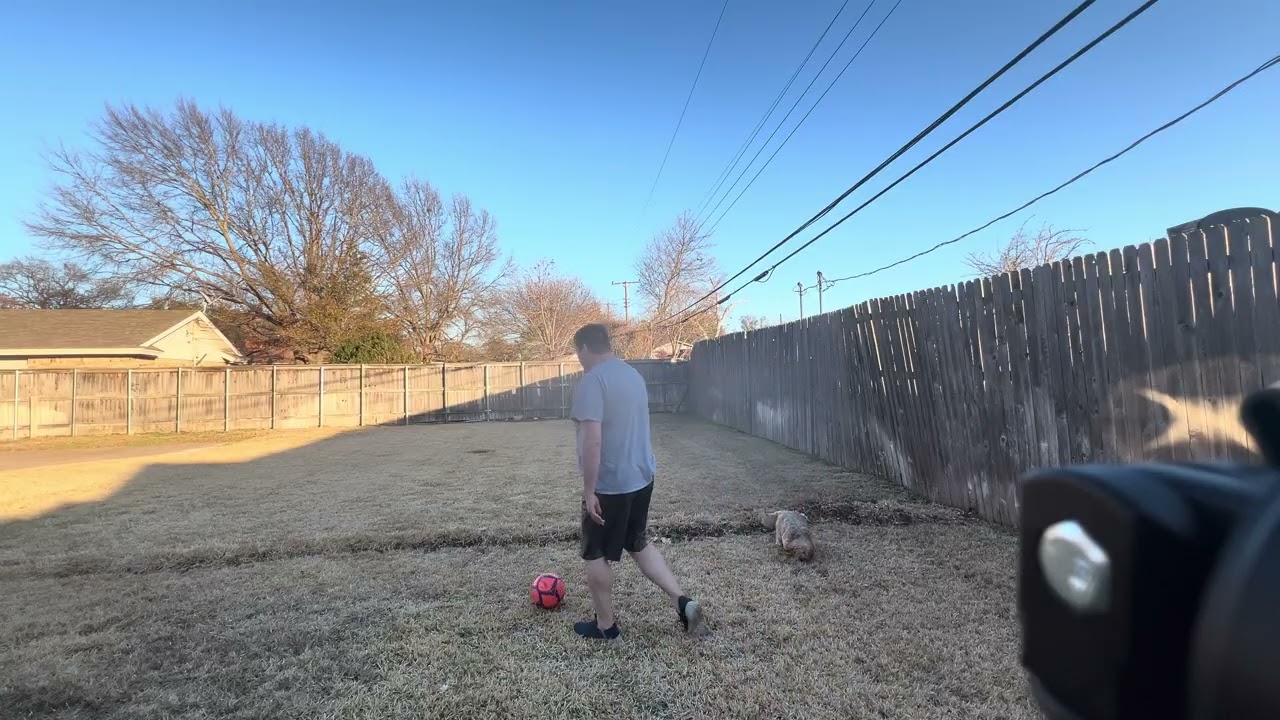 Bad Backyard Soccer with 2/3 Dogs