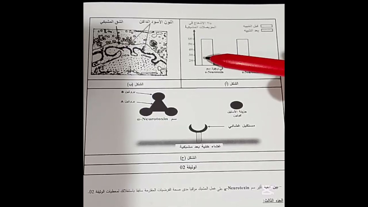 تمرين حول التنظيم العصبي ,2 ع ت