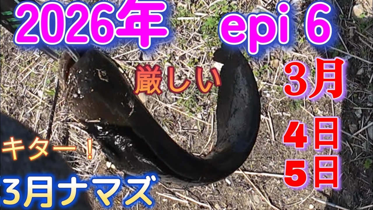 3月4日5日のナマズ釣り🎣水温低下で厳しい😱ブッシュ奥の奥でキター！😁