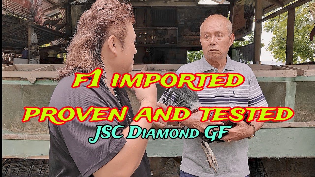EP621: F1 anak ng mga imported na tested dito sa JSC Diamond GF