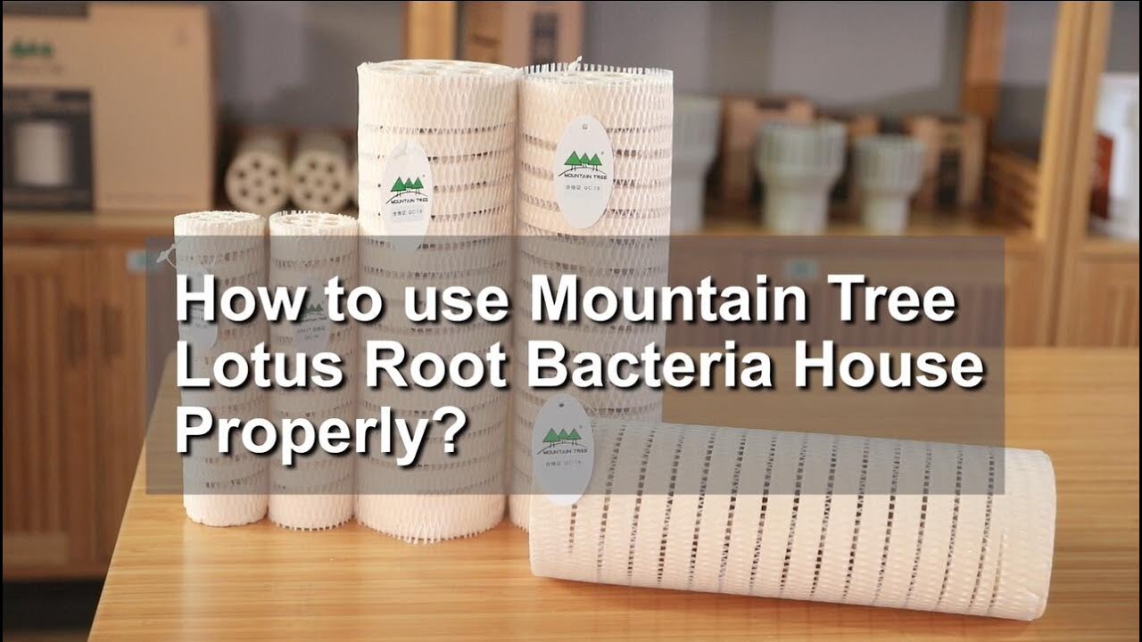 Overview: Mountain Tree Lotus Root Bacteria House