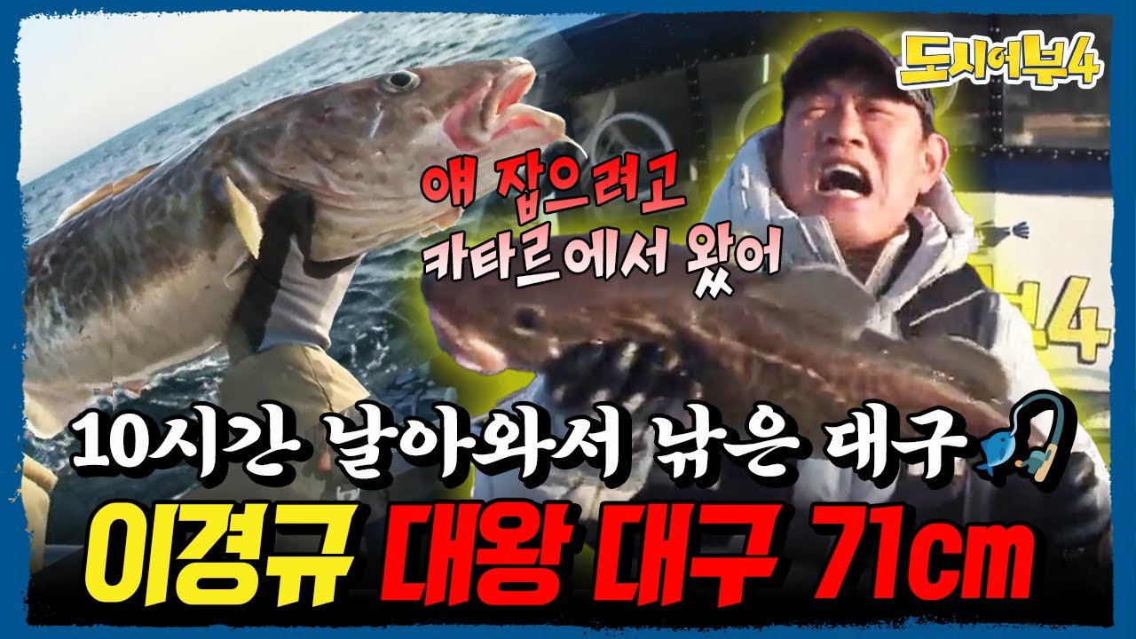 낚시하려고 비행기 타고 온 이경규... 71cm 대왕 대구로 대활약🔥 | #도시어부4 26회