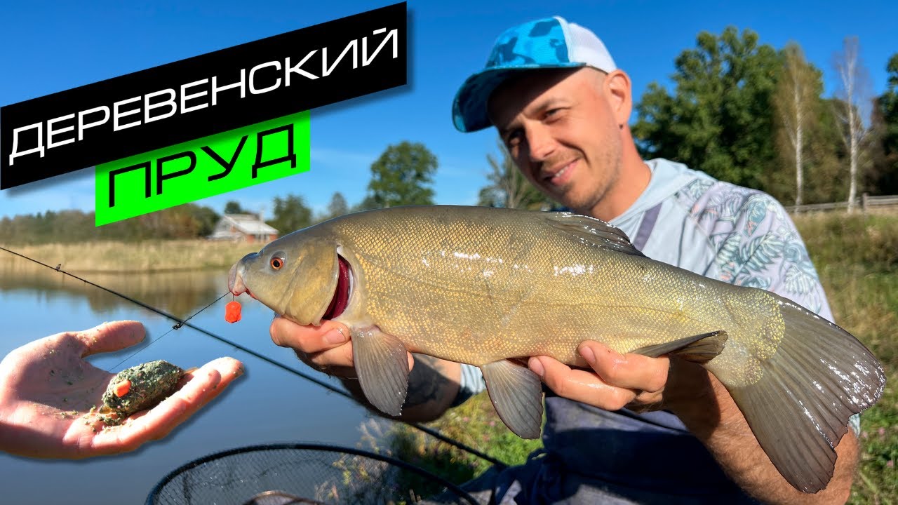 РЫБАЛКА НА ПРУДУ / ЛОВЛЯ КАРПА И ЛИНЯ / FROS FISHING