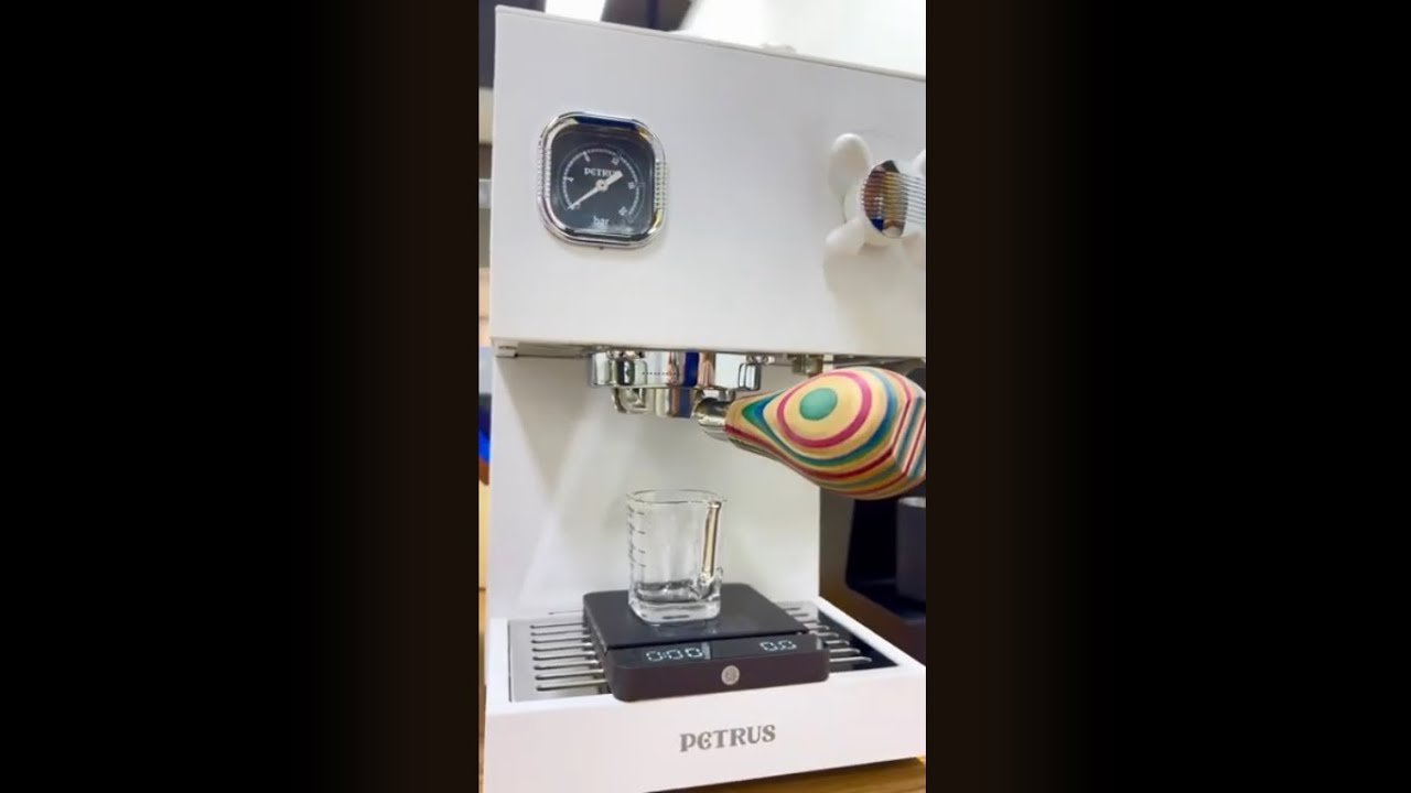 Petrus Espresso Coffee Machine PE3888 workflow