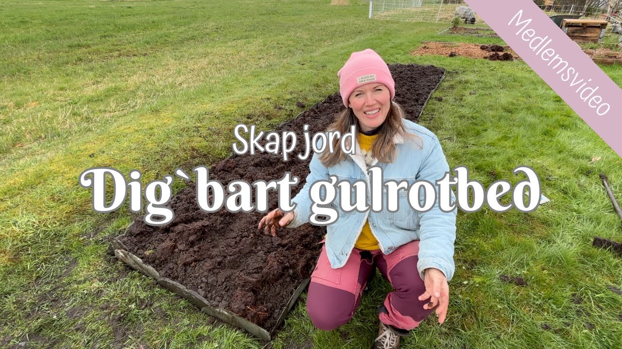 Skap jord | Dig`bart gulrotbed