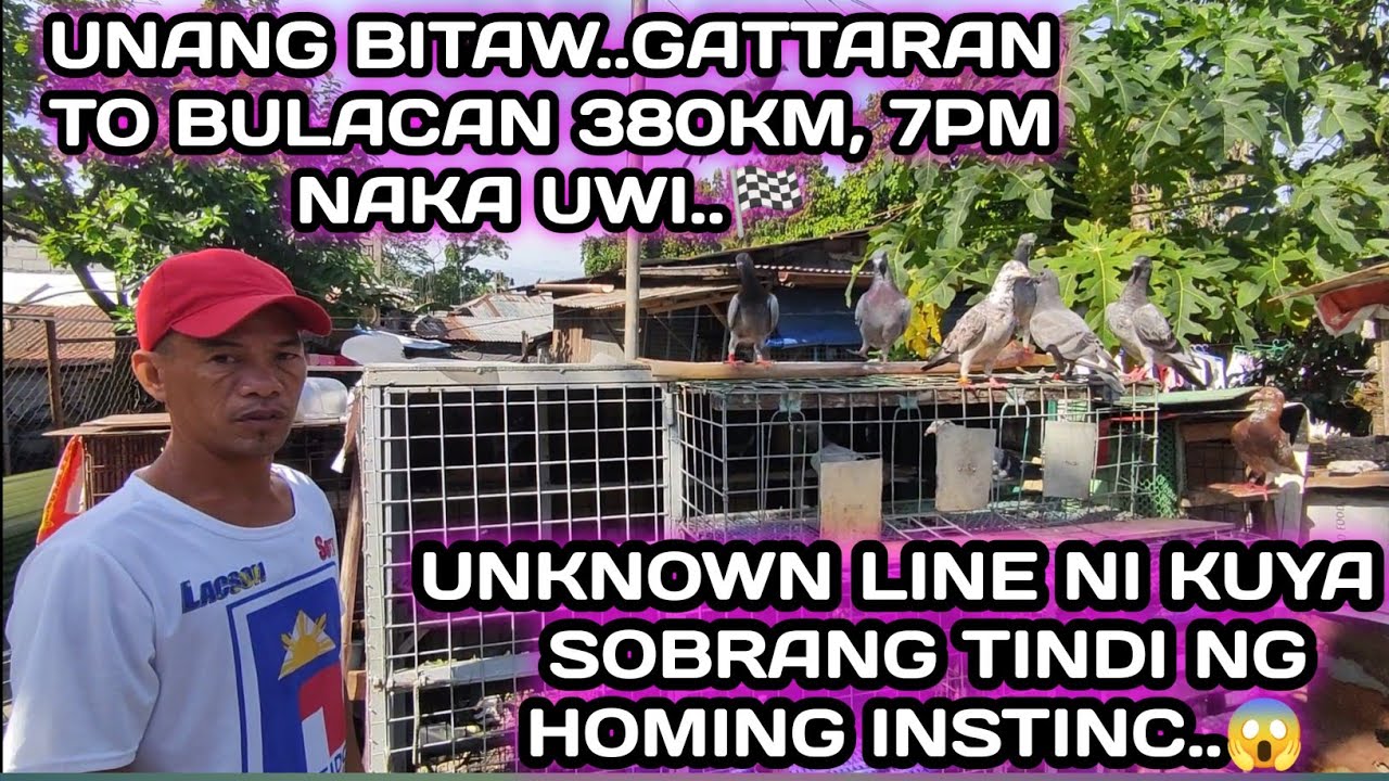 UNKNOWN LINE NI KUYA..SOBRANG TINDI NG HOMING INSTINC..😱