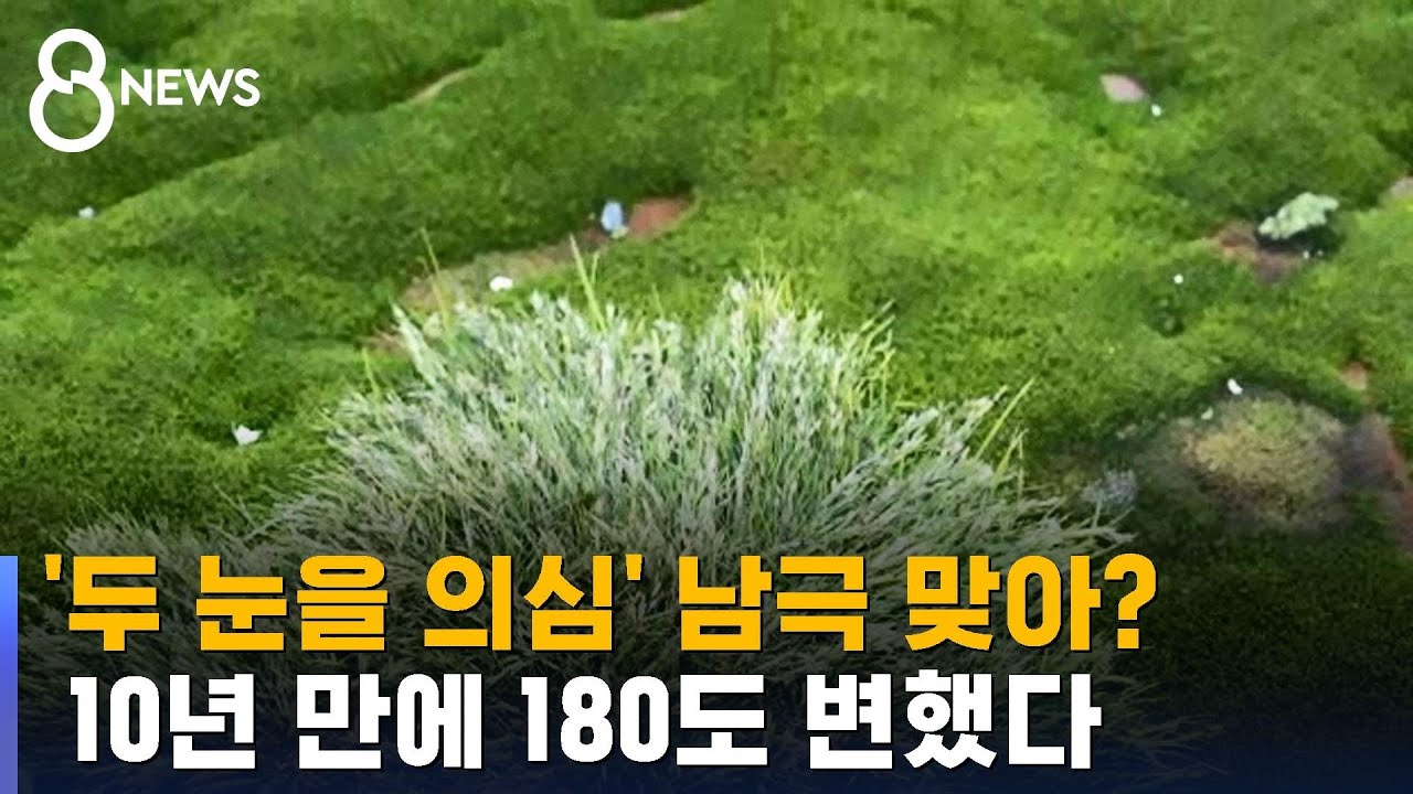 초원과 냇물, 여기가 남극 맞아?&hellip;바다에서도 '이상 징후' / SBS 8뉴스