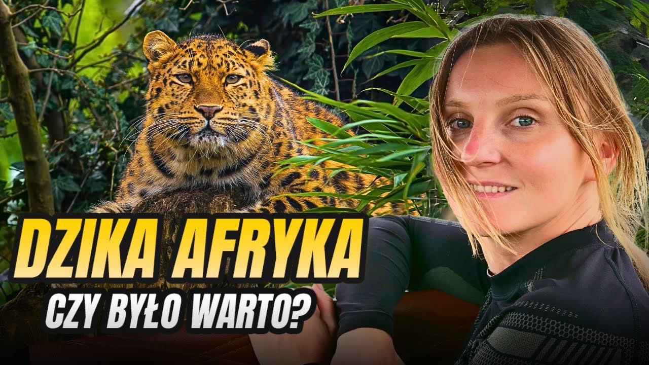 Niezapomniane Safari w Kenii: Lamparty, Słonie i Żyrafy w Parku Tsavo!