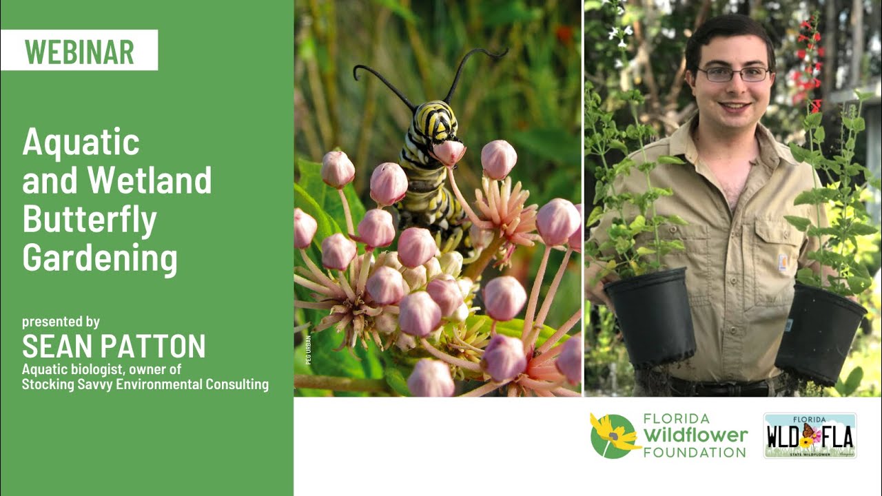 Aquatic and Wetland Butterfly Gardening