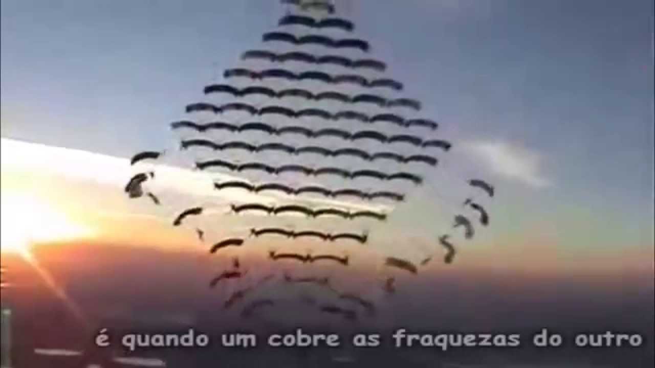 Trabalho em Equipe - Vídeos e frases