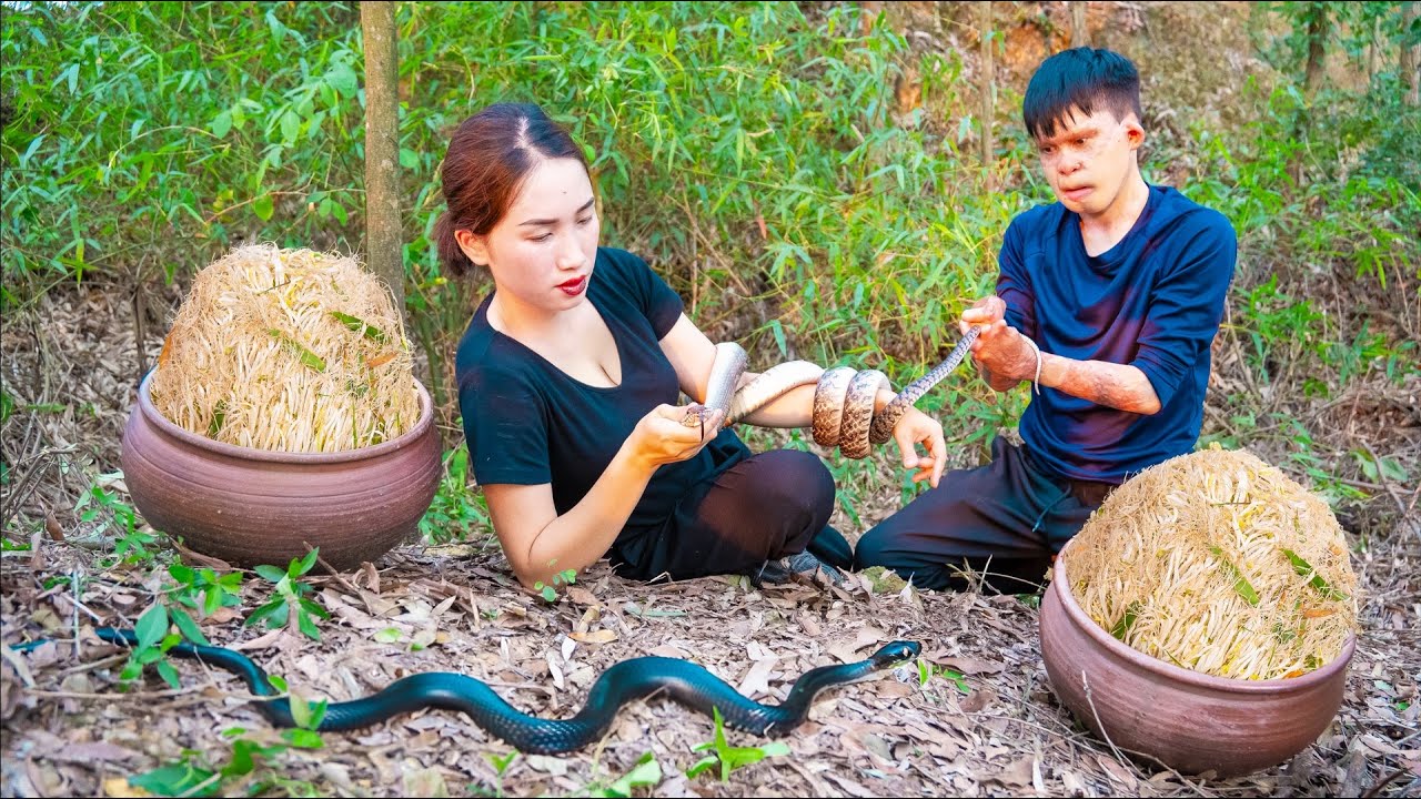 HOT VIDEO : Attacked by a SNAKE while going to the forest to pick bamboo leaves to make BEAN SPROUTS