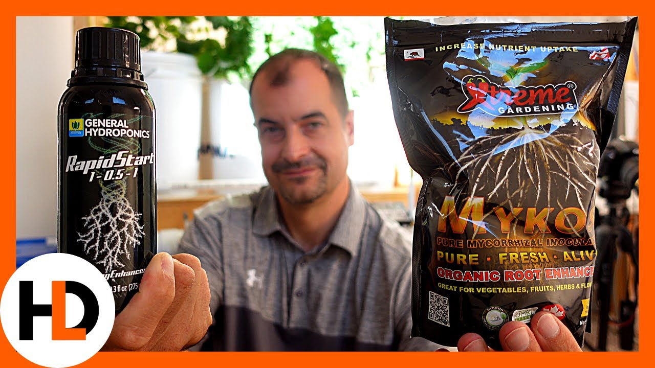 Grow Power! Rapid Start vs Xtreme Gardening Mykos