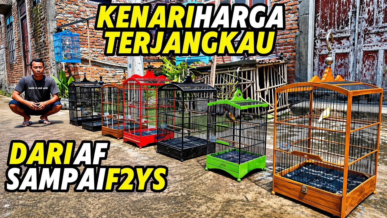 KENARI HARGA TERJANGKAU‼️Dari seri AF sampai dengan seri F2YS...