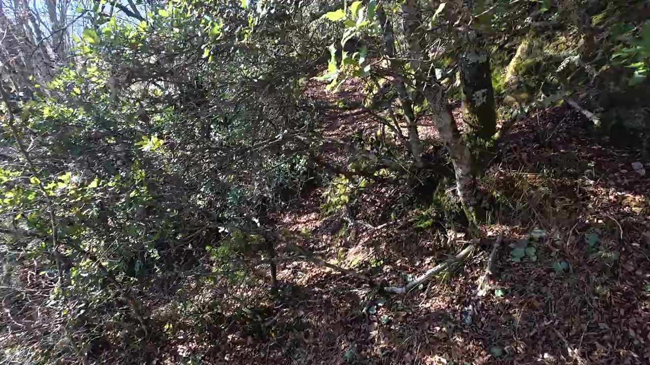 H ETNA σε φέρμα & μπλοκ τα BRETON σε συναίνεση, σηκώθηκε και τουφέκισα πίσω της αλλά μακρυά !!!