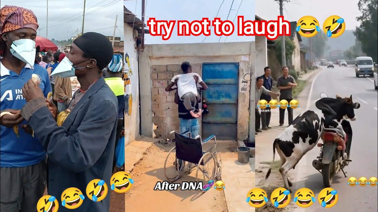 Безумные🤣 самые смешные видео в мире 😂 Попробуй не засмеяться Челлендж 🤣😂 Топ 50🤣🤣