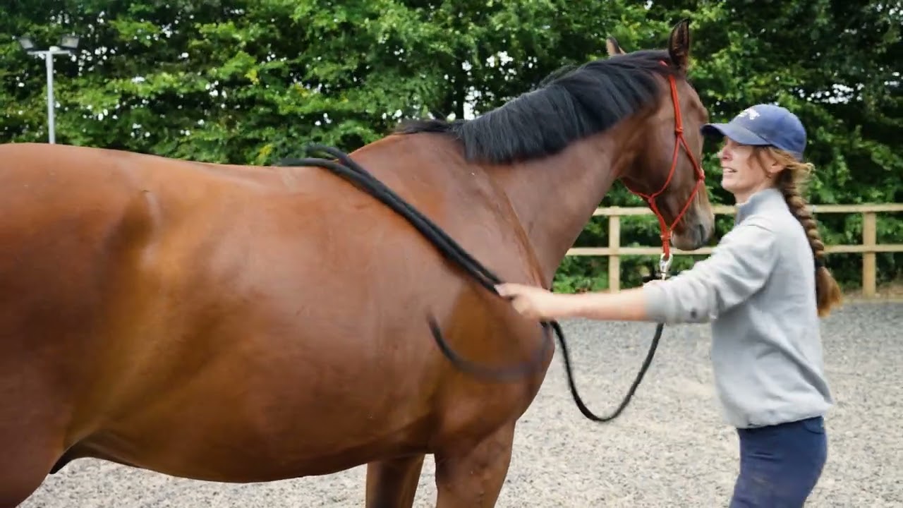 The Anmore Way | Episode 4: Three-Year-Old Groundwork — Poles, Barrels & Movement
