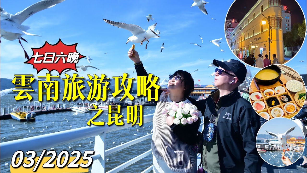 ［多士貓旅拍］EP1雲南之昆明｜七天六晚旅遊攻略｜滇池｜海埂大壩睇海鷗｜夜遊昆明老街 (旅遊好去處Travel)