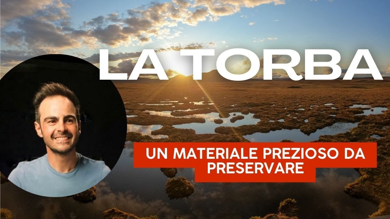 Tutte le curiosità sulla torba che diamo alle nostre piante