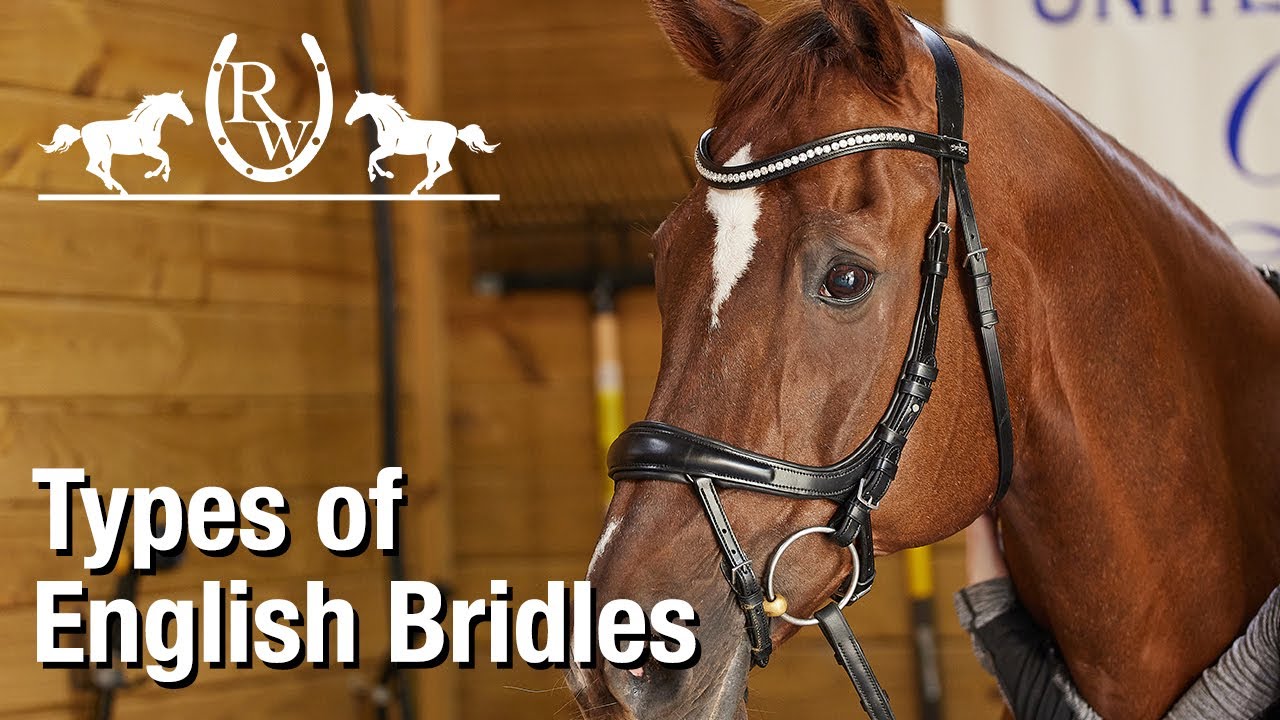 Types of English Bridles