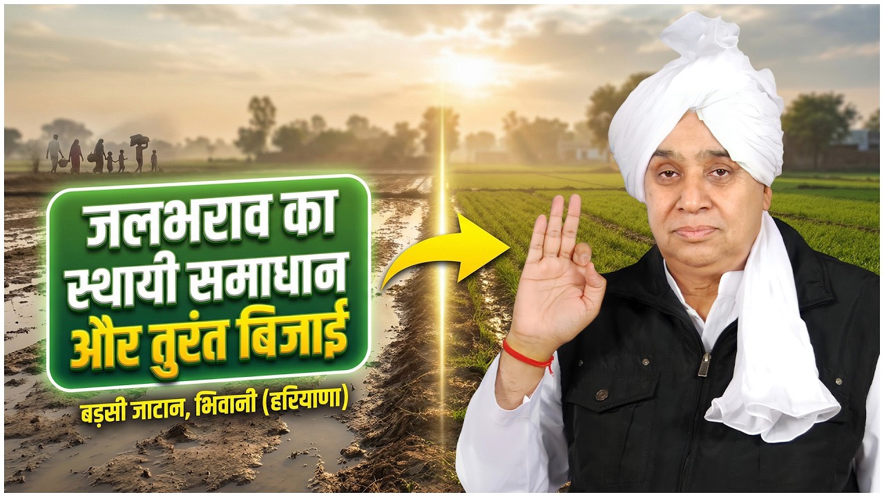 बड़सी जाटान, भिवानी (हरियाणा) जलभराव का स्थायी समाधान और तुरंत बिजाई कैसे? SA News Channel