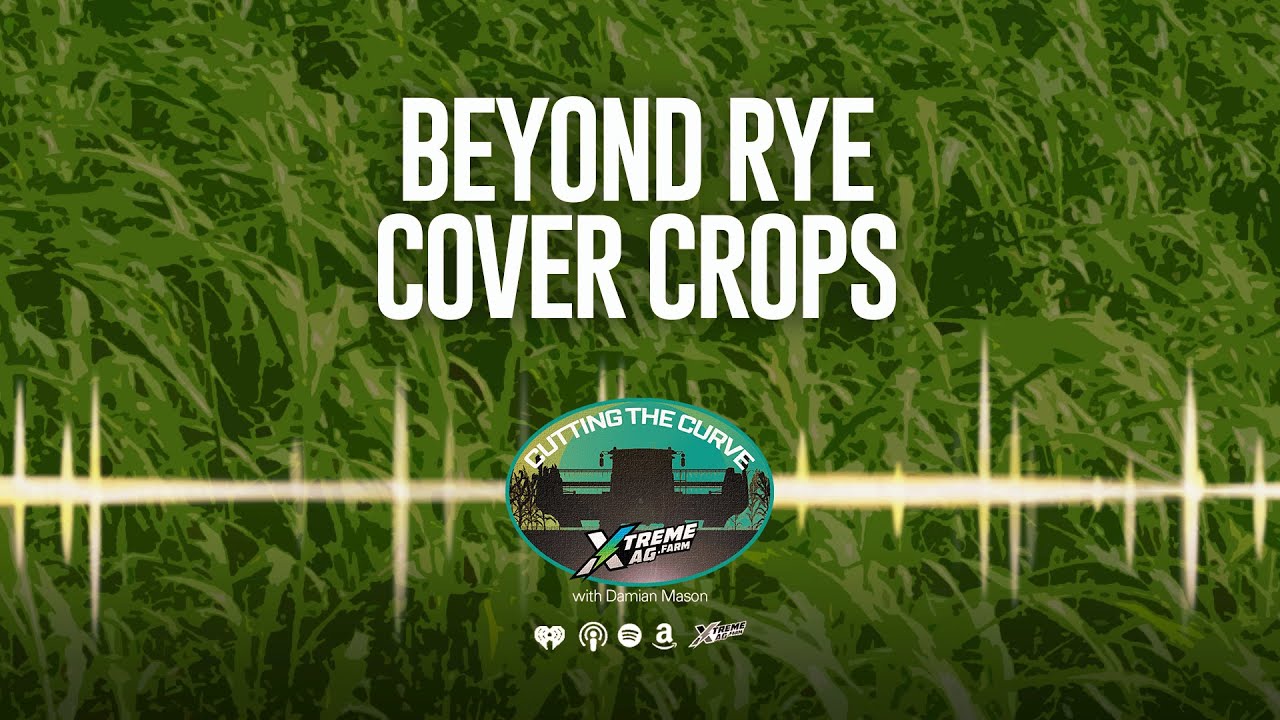 Farming Podcast | Cover Crop Strategies Beyond Rye | XtremeAg
