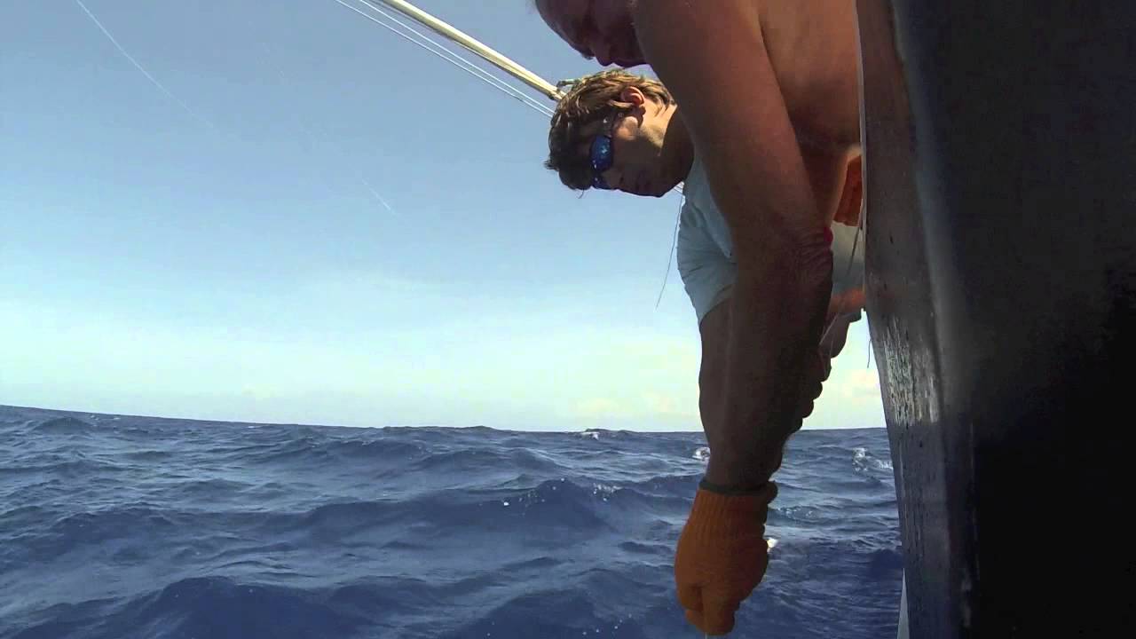 SIOBC 2014   , MAURITIUS