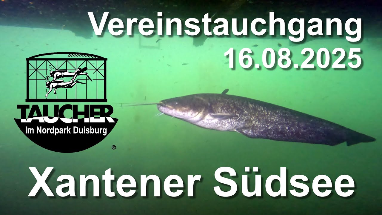 TiND Vereinstauchgang Xantener Südsee 16.08.2025