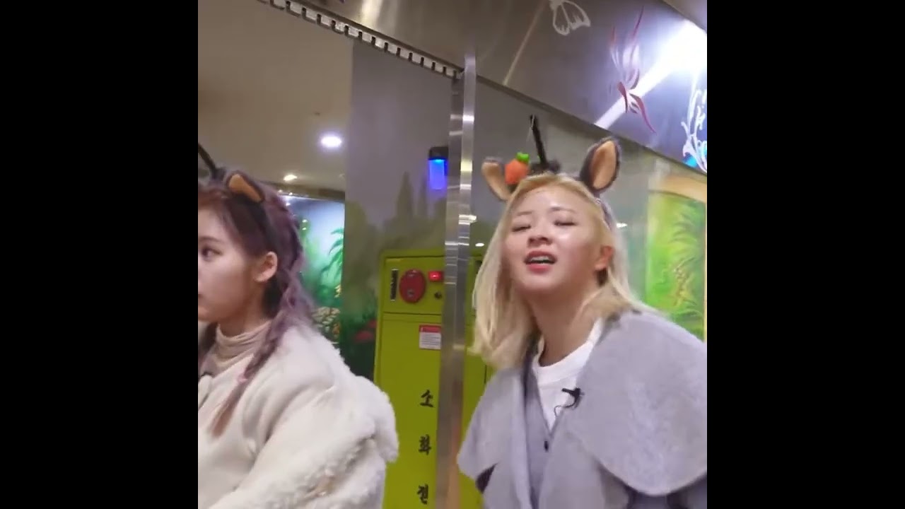 JeongSa found Momo's animal representative 🦝✨🥺 