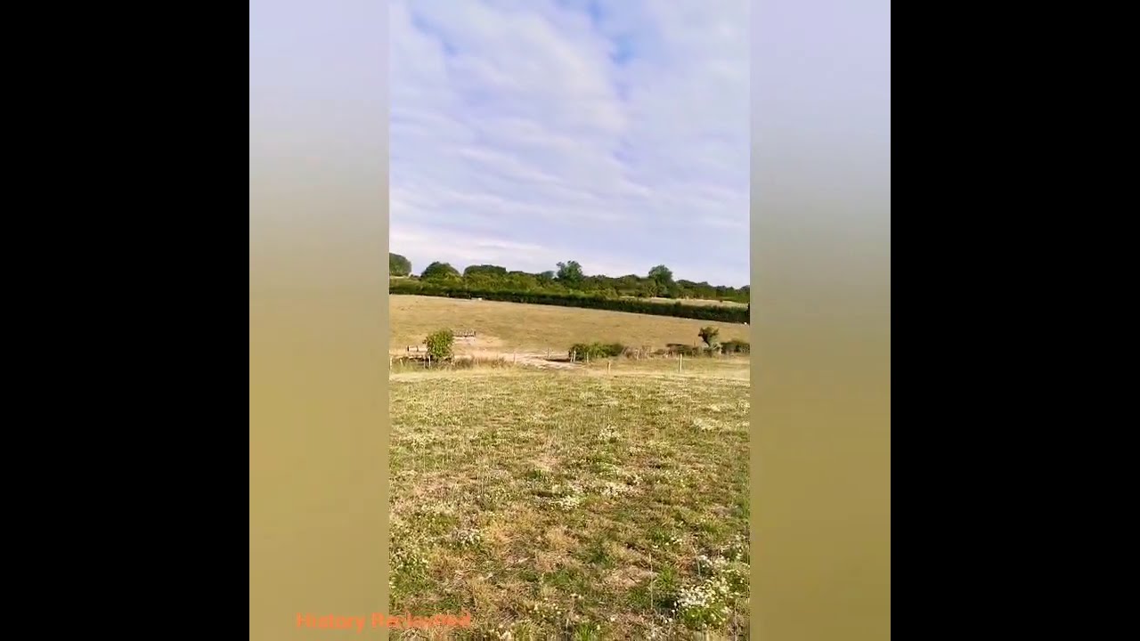Rare gold celtic coin found on the new farm.