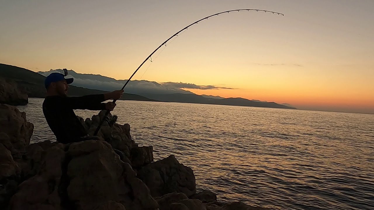 TUNA 40KG+ IS SNAPPED_ ZENAQ_ SHIMANO STELLA
