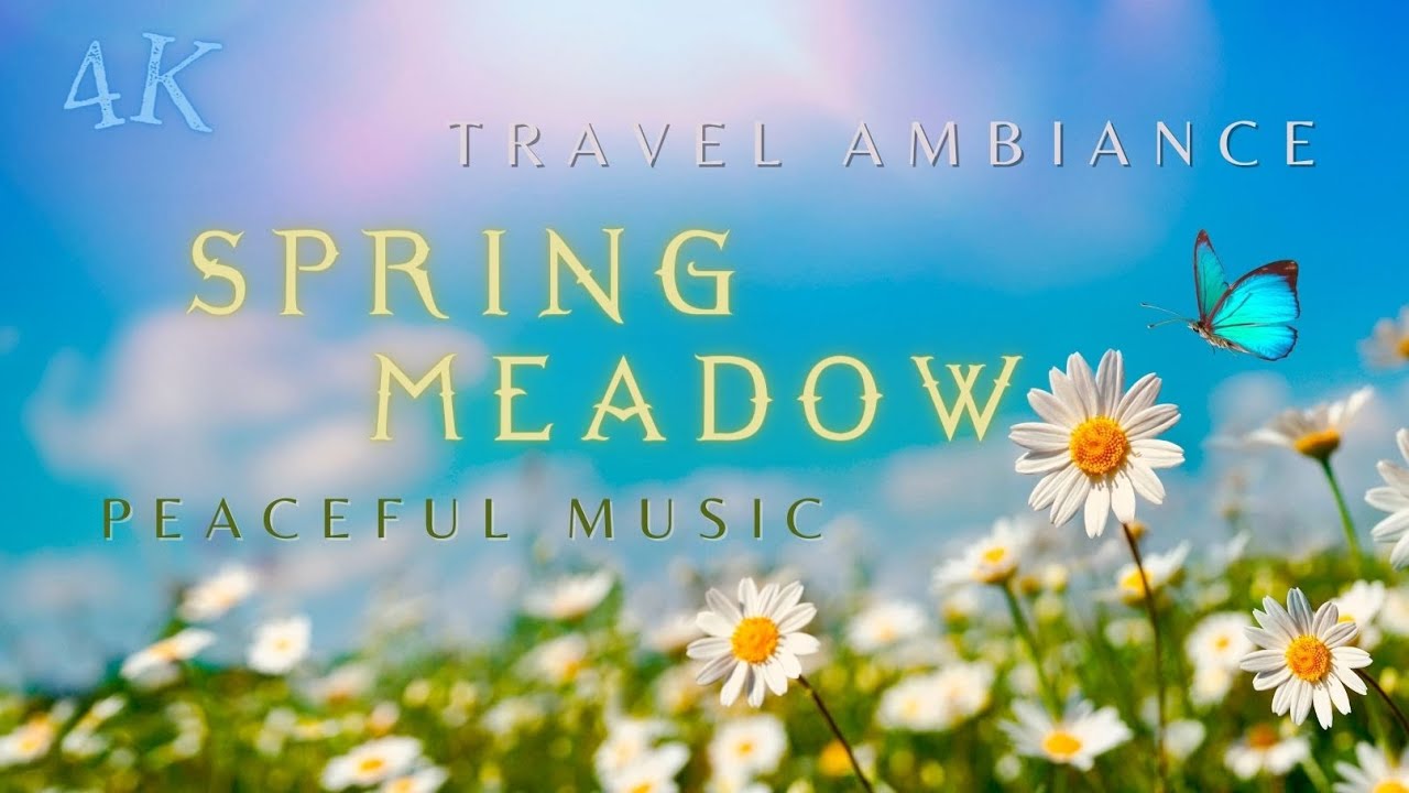Travel Ambiance: [Spring Meadow] | 4K Scenery | Wild Nature | Peaceful Relaxing Music