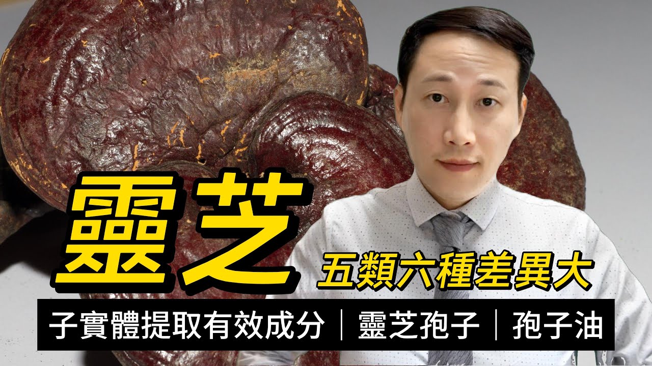 靈芝，青赤紫黃白黑靈芝功效各不同？靈芝孢子粉和油有何影響？