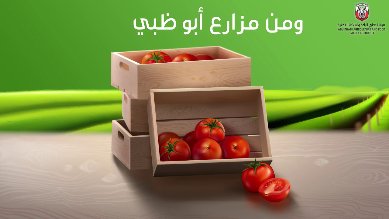 نظام التتبع