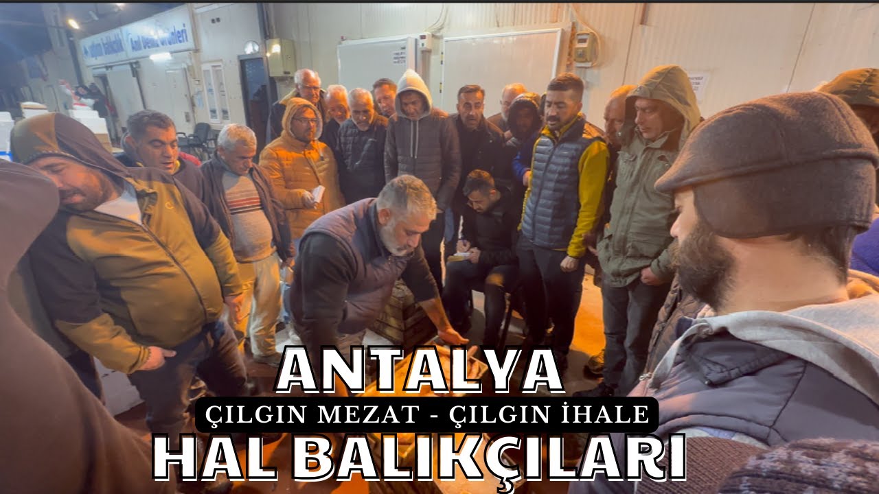 Antalya Balık Hali: ''Balık Az, Fiyatlar Uçmuş''