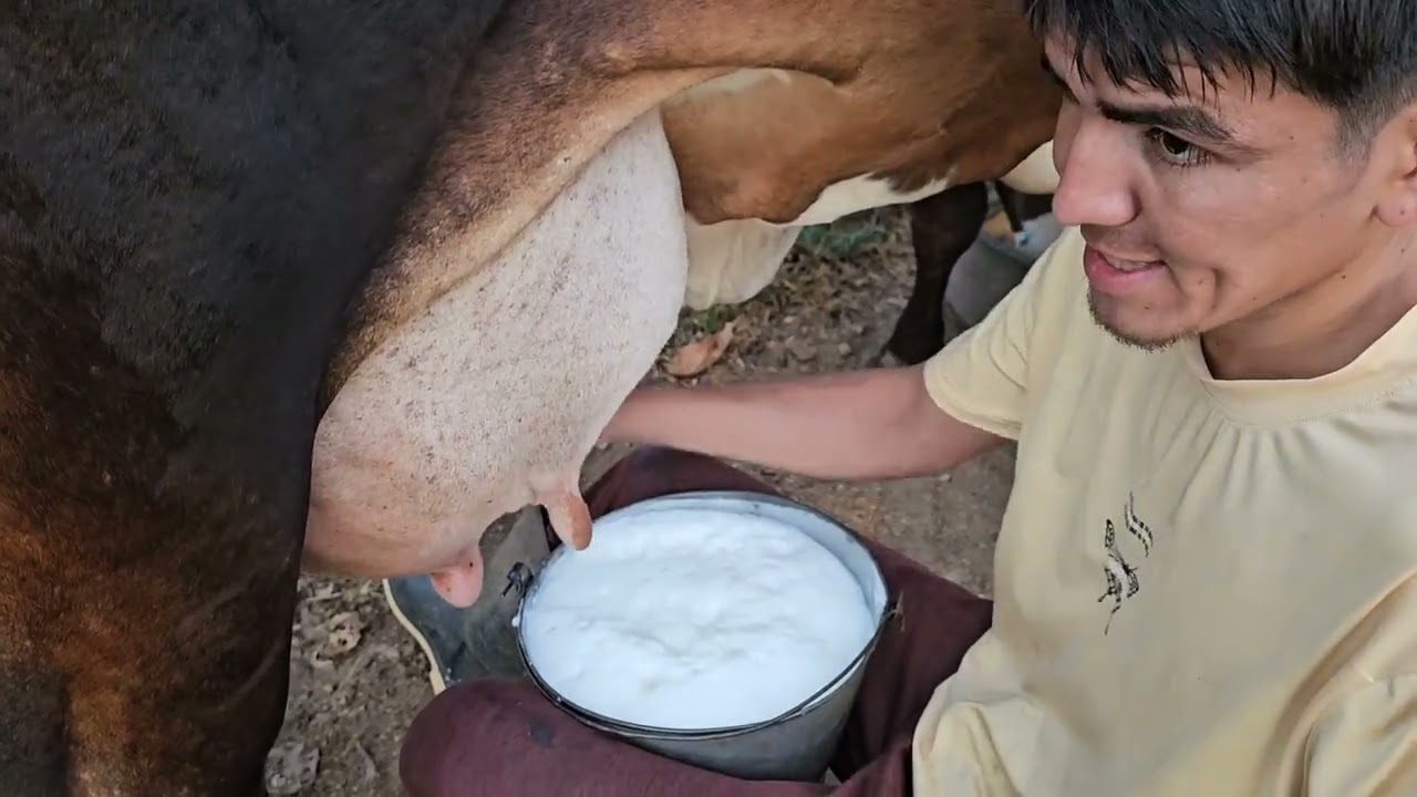Esto fue lo que dio de leche la vaca recien parida 👌🏻