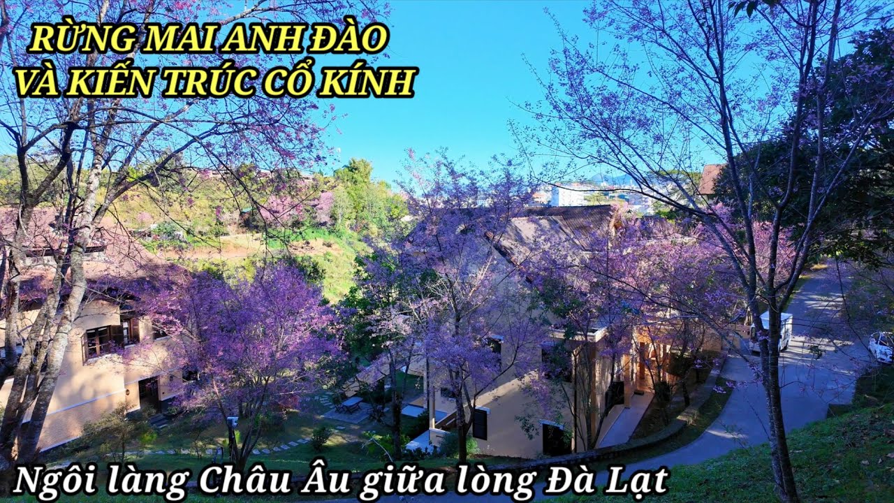 Ngôi làng Châu Âu giữa lòng Đà Lạt, rừng Mai Anh Đào và kiến trúc cổ