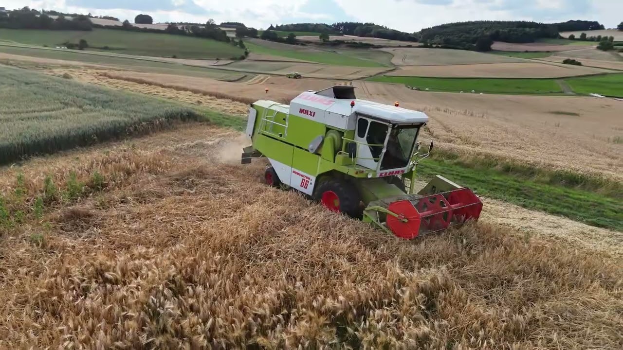 CLAAS DOMINATOR 66 ERNTE 2025