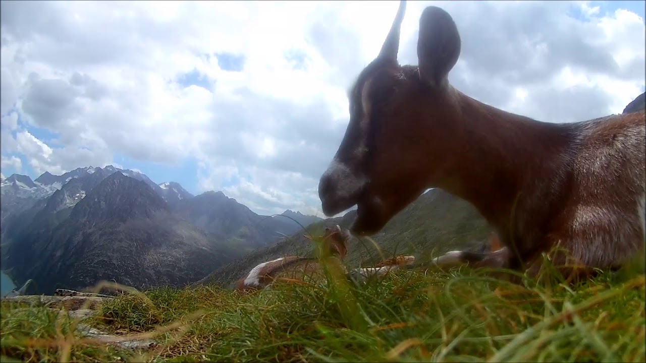 Zu Fu&szlig; &uuml;ber die Alpen