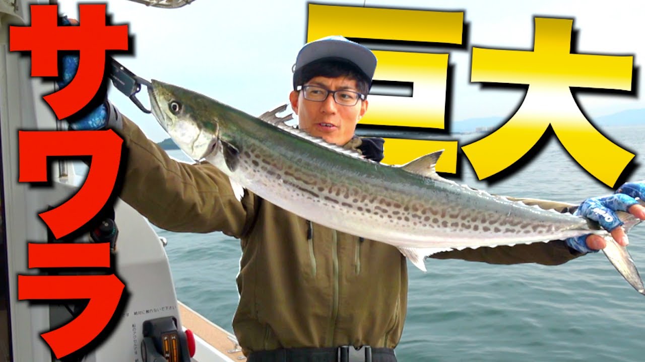普通じゃない釣り方で巨大サワラを仕留める！！【ライトジギング】