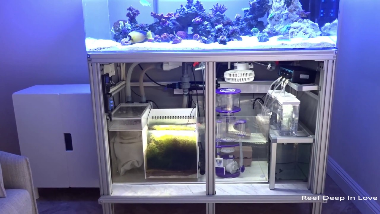 100 Gal Custom Reef Tank Quick Look