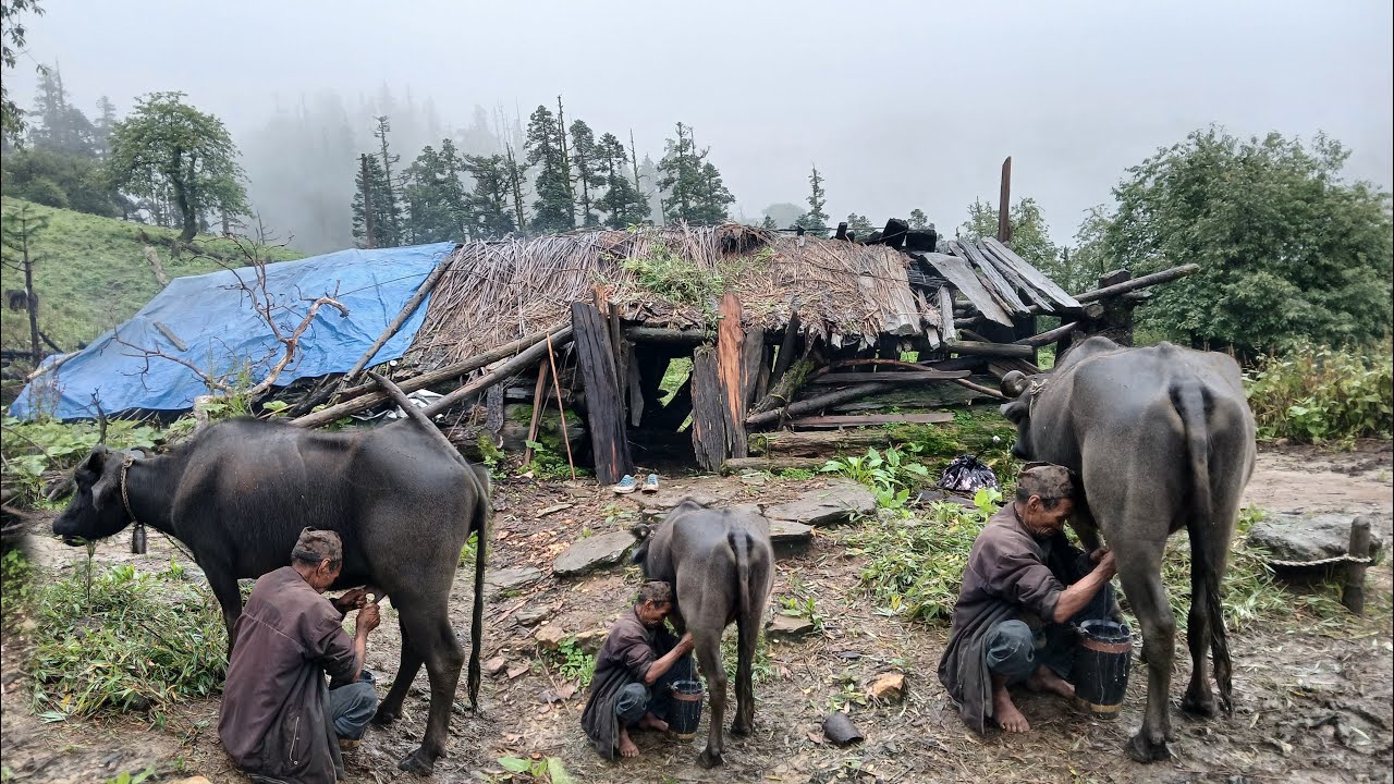 Life in the High Hills of Nepal | Rainy Days & Organic Village Living”